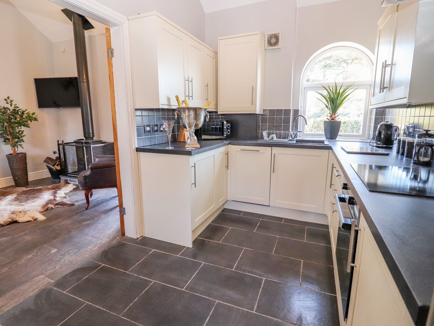 Clwyd Cottage Kitchen 2